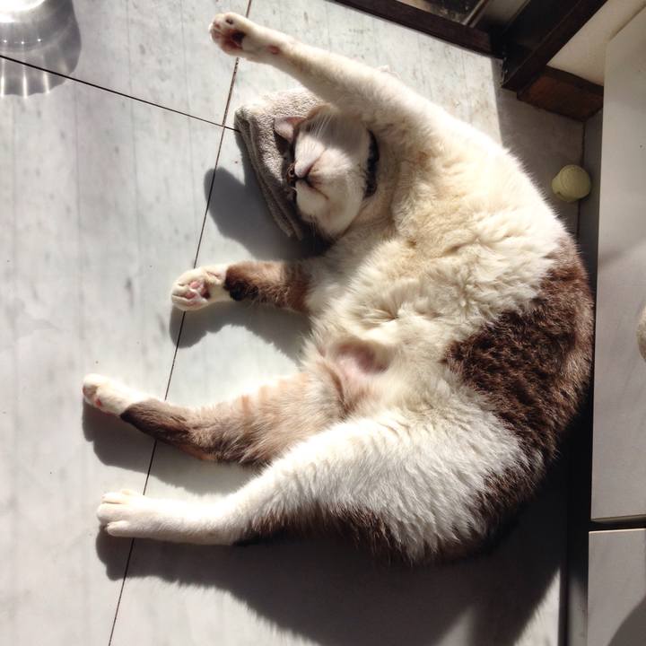 F192f339 bfb3 4f8c ac95 1cb4e0ca522f