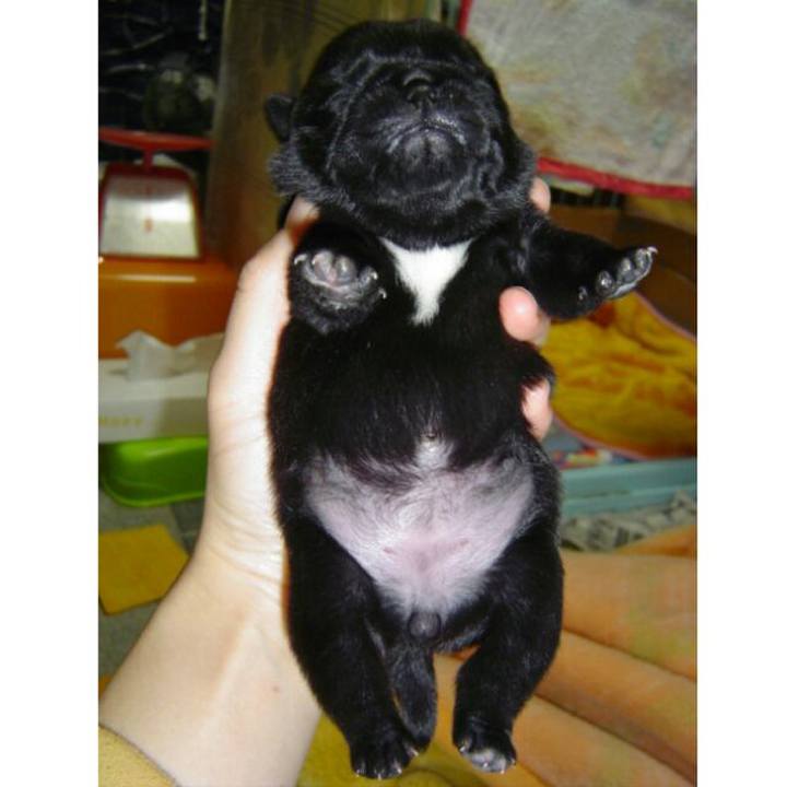 F193b7c0 1cf3 4fb9 b7d7 c93a45f457a4