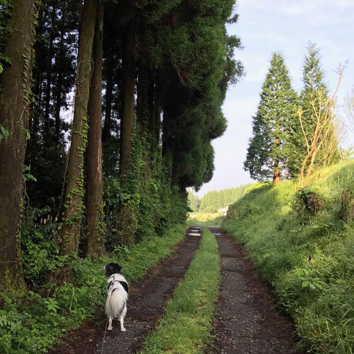 F1944259 c8e5 42a6 900d 6836274cc03e