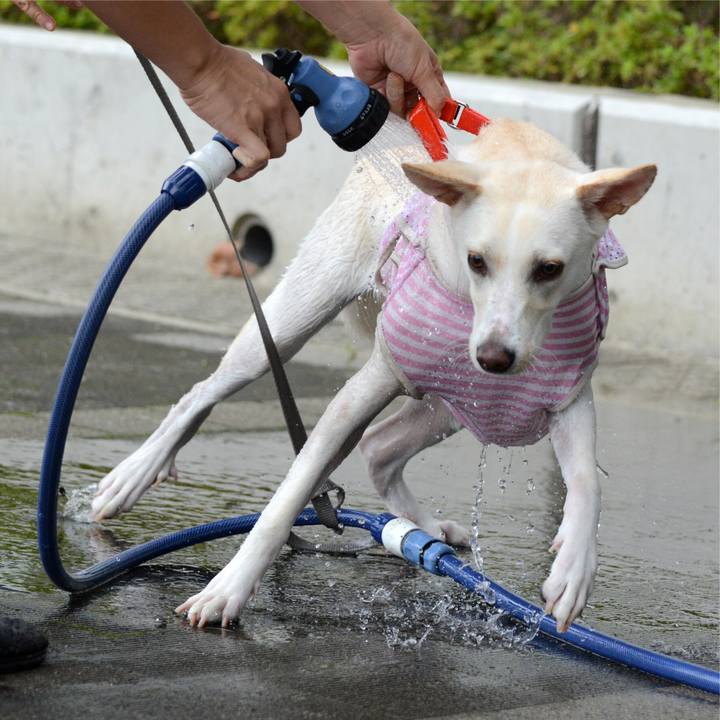 F19449cc 9cc6 4cff 8b83 d49298b5f908