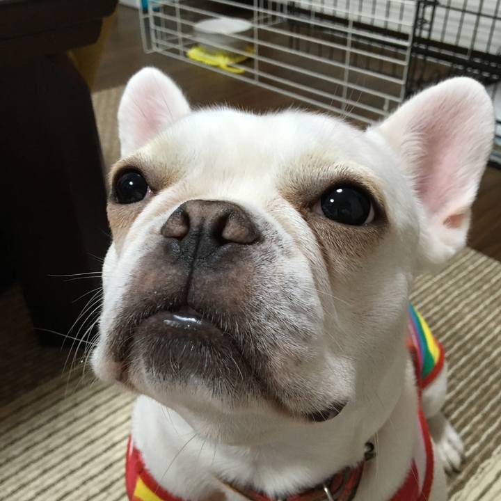 F1948340 5247 4121 b9a6 0521c6c590f1