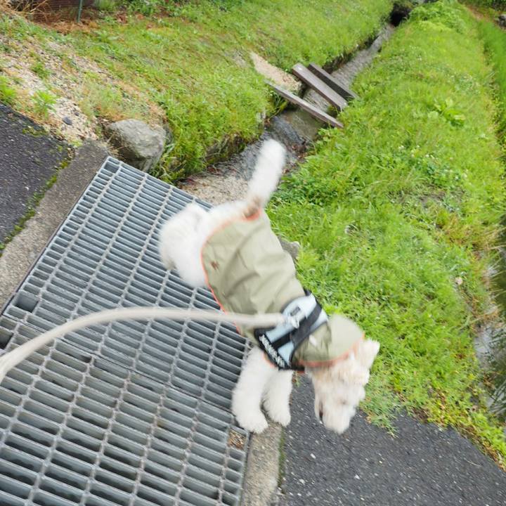 F19682b0 11f0 4814 9b9f f889b53b6700