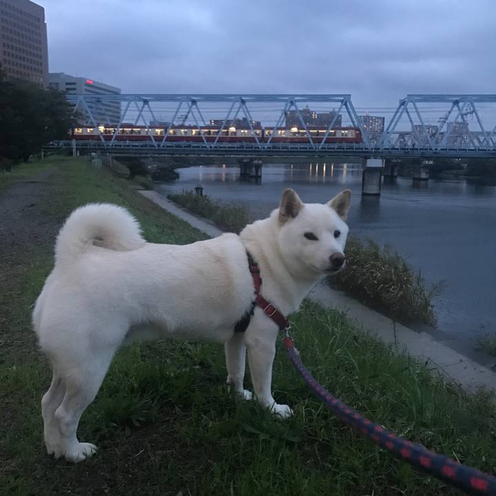 F1981f17 a79d 401f 9e0c b218f3b38b44