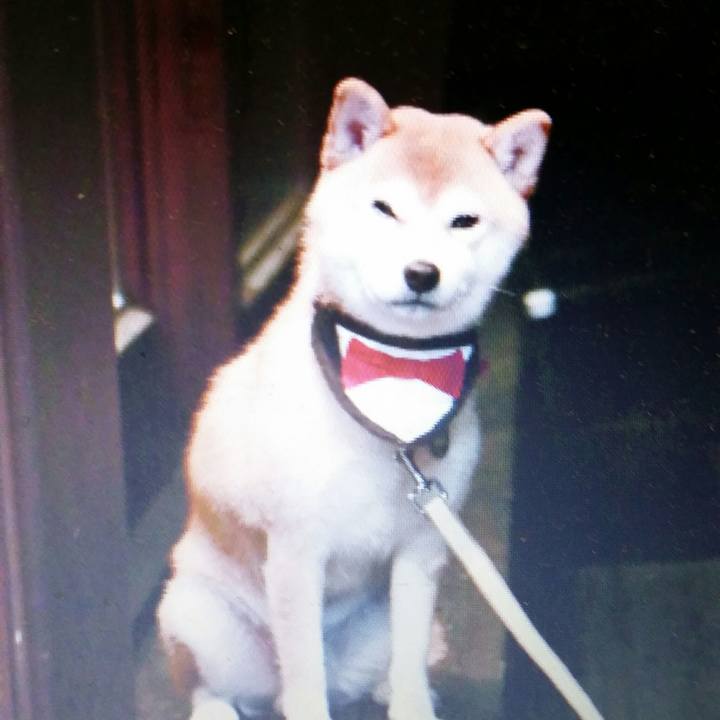 F1987bd2 82ae 4ecb b622 11f38d370710