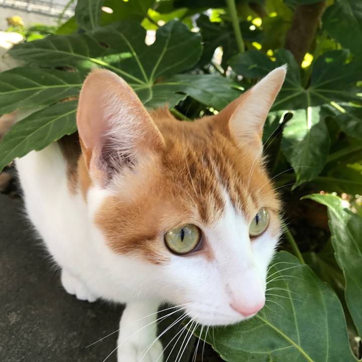 F198b78e 9bc3 4e24 9836 707b3135cc8f