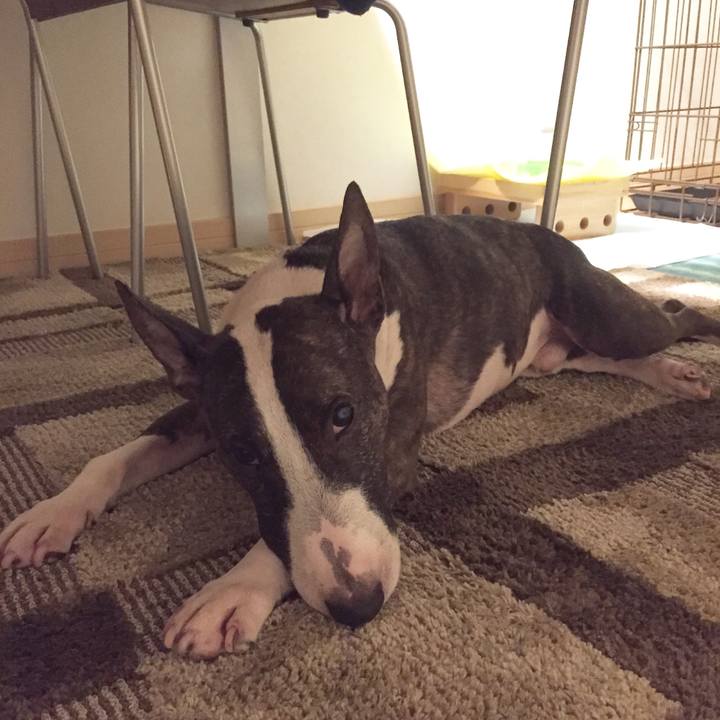 F198bf0a 4fbd 4a5e a469 bc5a4868d893