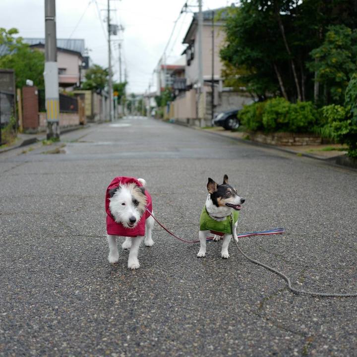 F1990d2c 49a9 47b9 9c53 62fd33af747c