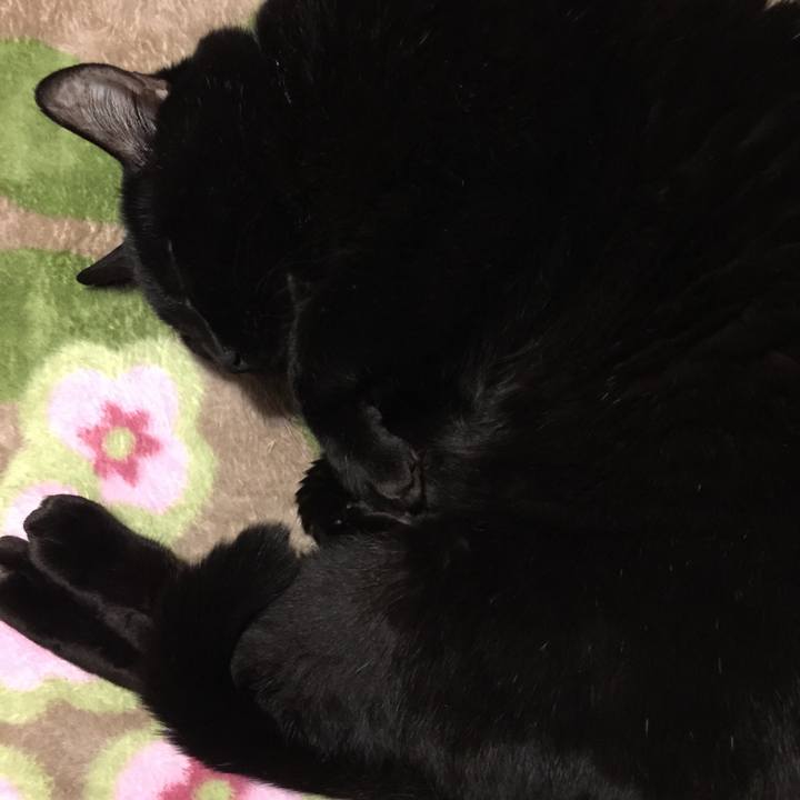 F1993004 6baa 4504 b980 dddb7ae4c1ab