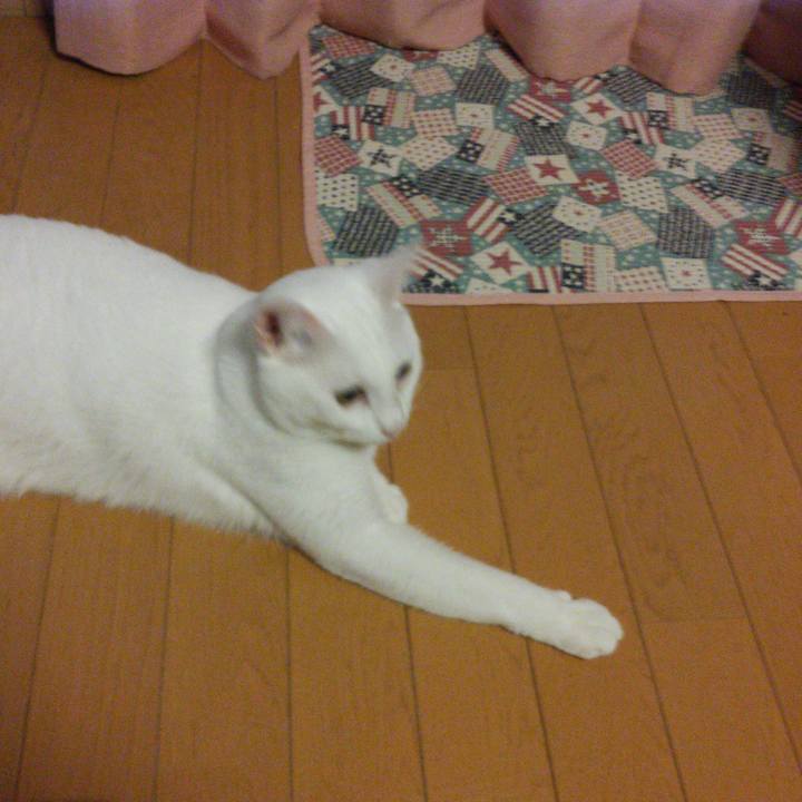 F1998ff2 2b17 4381 b47a 72f328c30be7