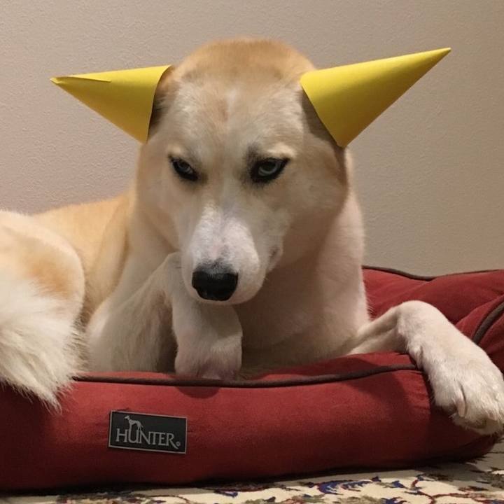 F199fcab cb59 4ad4 93a8 ffa1ae071e3f