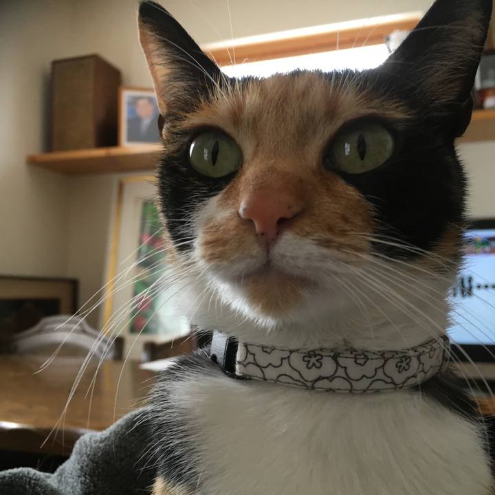 F19a7110 c2b4 4e36 97a2 1df51d864b7b