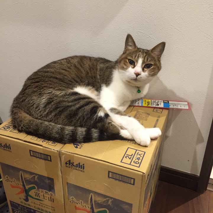 F19af239 a4d1 4b5c 8a2f a702abf99623