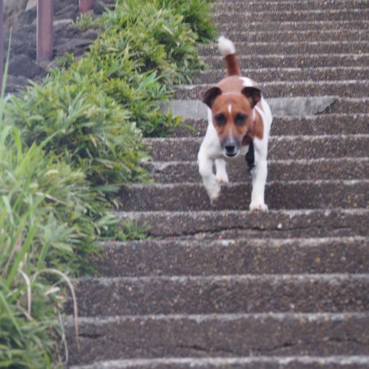 F19b3427 2494 4288 aafe 5e28e565596c