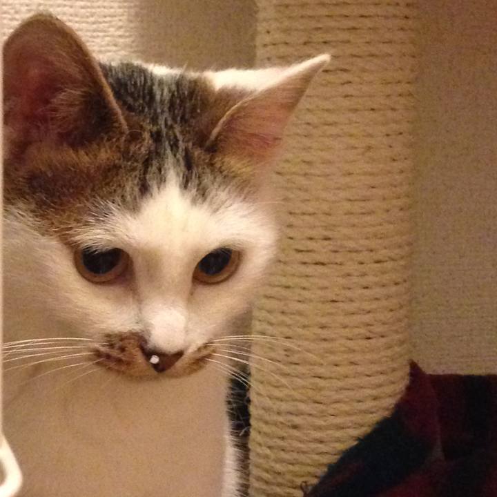 F19c83fb 6ca4 4d44 9809 4e03f04f1325