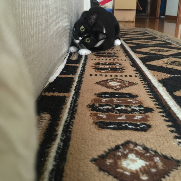 F19cd7e0 f4e6 4792 8214 0c6565e46848