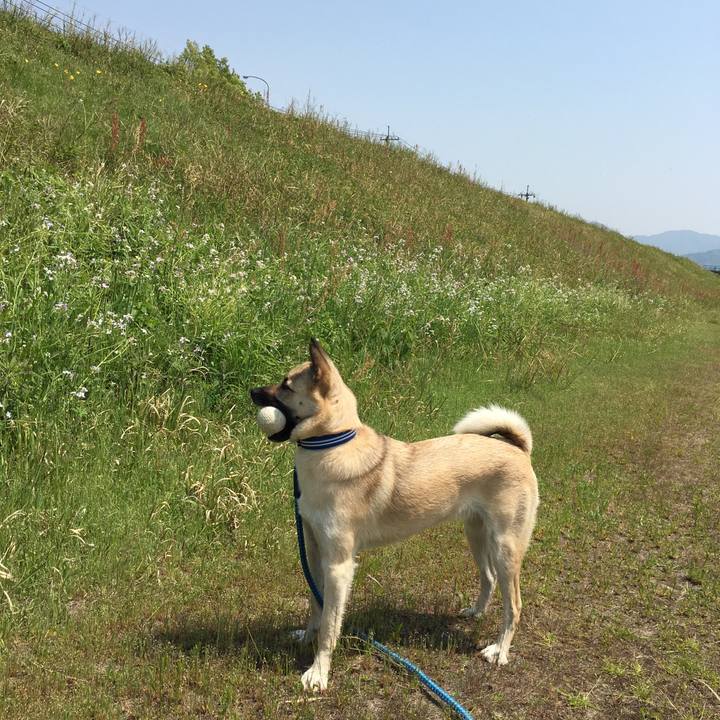 F19da070 4650 498b bb64 874bfcd9234b