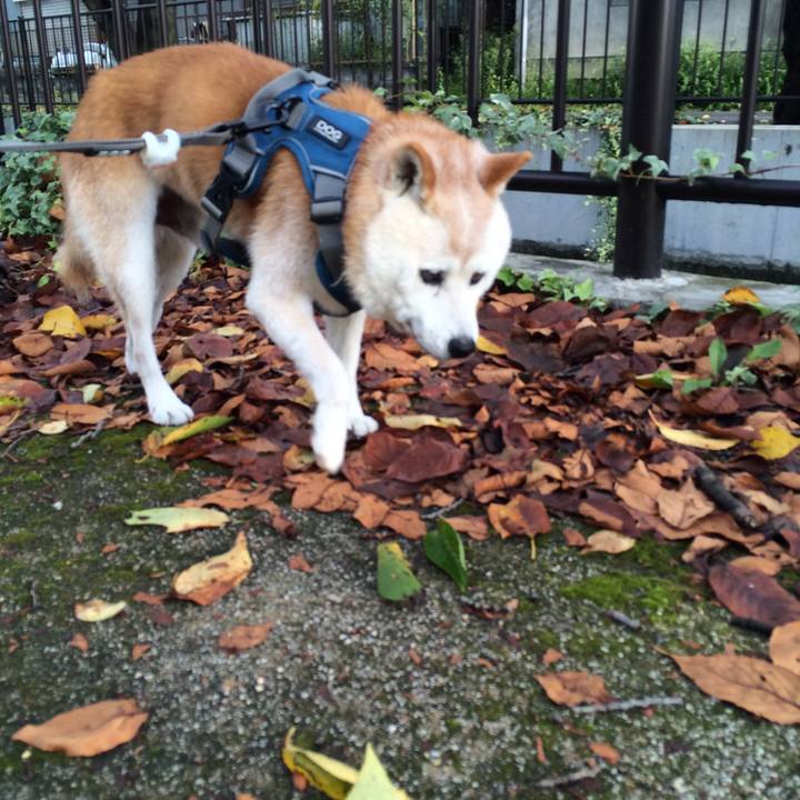 F19ebd0b 8e38 45b4 9bdd 45446c007ba7