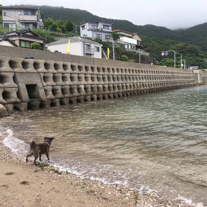 F19f1616 2d3a 4a4b 9561 664df5b9bb80