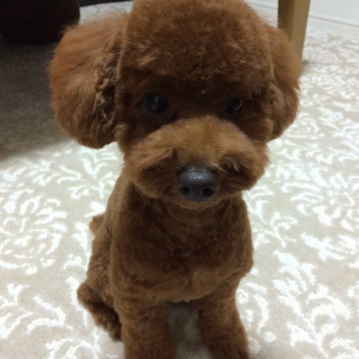 F19f4ca9 55c6 4499 bbc5 c08d150263ab