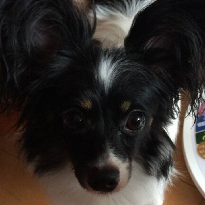 F19f7ea1 8f3d 4a27 8738 ddfabbff951e