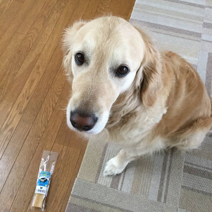 F1a00a04 d26e 4906 a24d 5d55212ef2bc