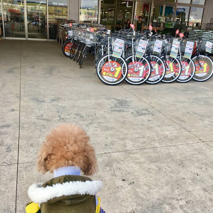 F1a075a5 a95e 4e5b a812 2c72d78bdea7