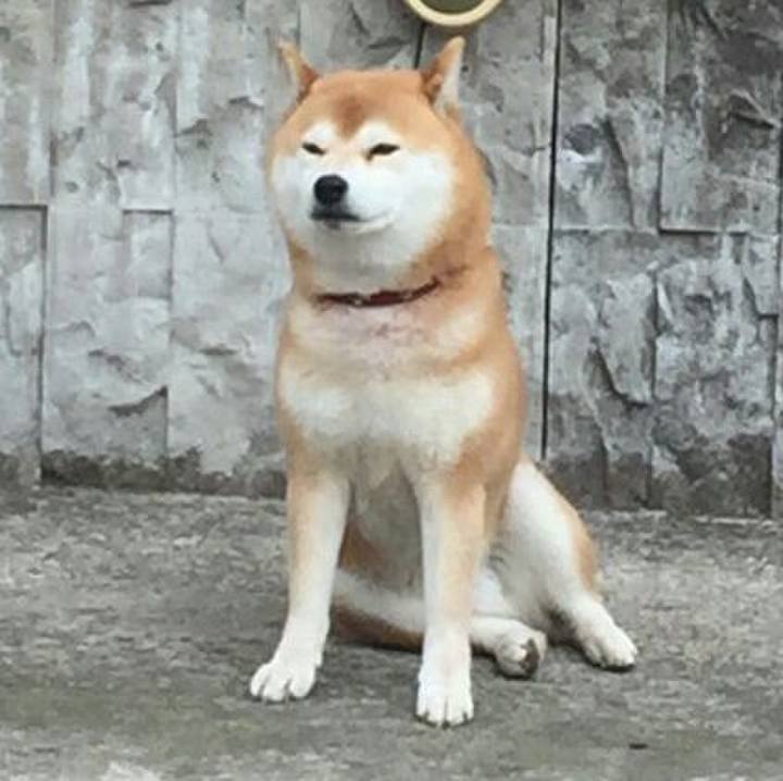 F1a10076 850b 4698 9353 71c0d8cd11a2