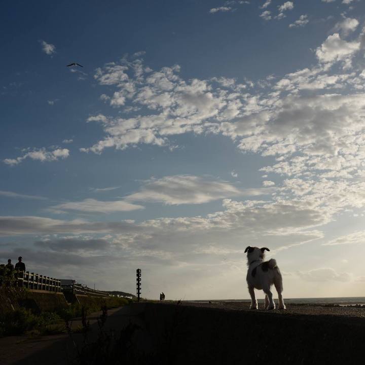 F1a156b4 f76d 47a4 b90f 1328c5aa5822