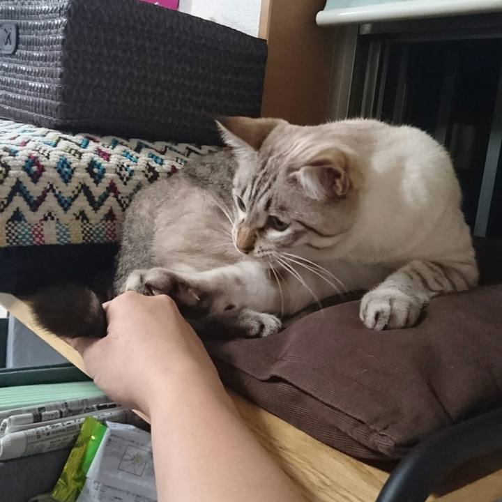 F1a22771 9e29 43da bd7f 2ad5ea40af6f