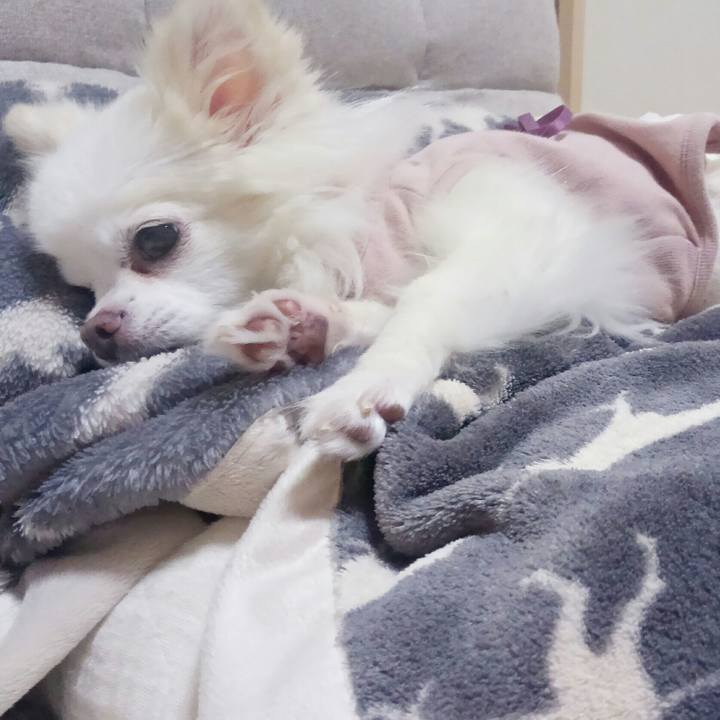 F1a26c59 4d3f 4462 9d42 684f8780c236