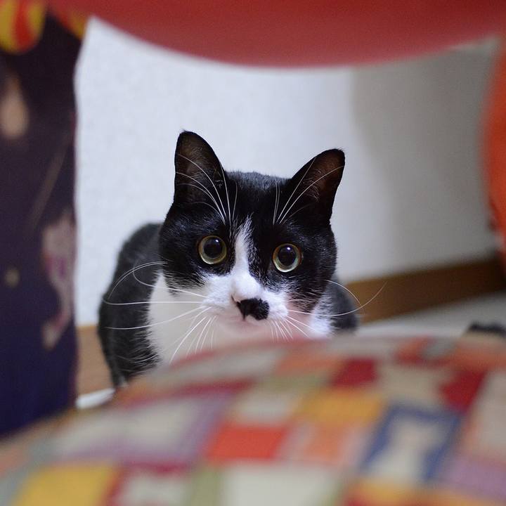 F1a2c862 0fc0 4034 acb9 7ab61c026e3c