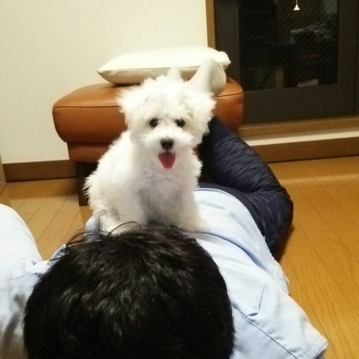 F1a30613 b519 4eb6 bcf5 2688e6ac0132