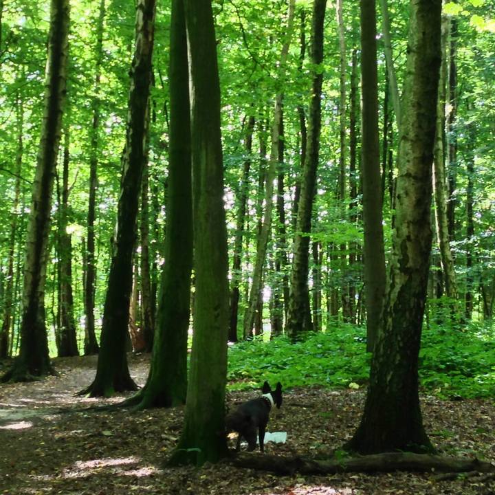 F1a339cb 64b4 4fac 91ec 0a314891d764