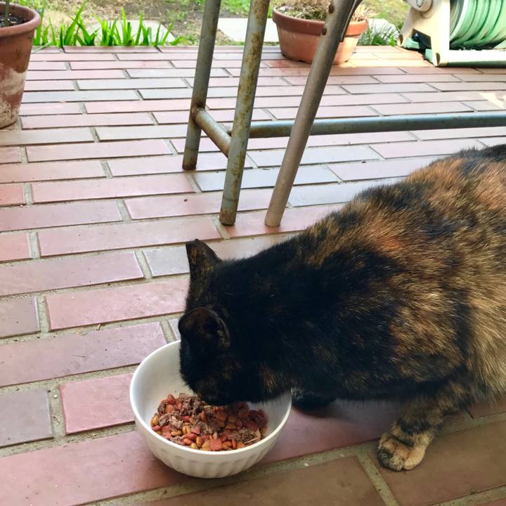 F1a3977f 745b 4ac5 a7b4 3e21b47842dd