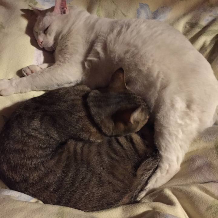 F1a3b9ad b066 48f9 833d c6ec0e0e7f9e