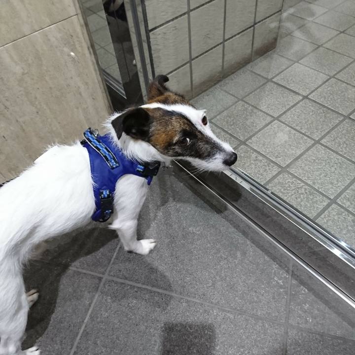 F1a4b595 2288 42a0 aa65 2d85115ecdec