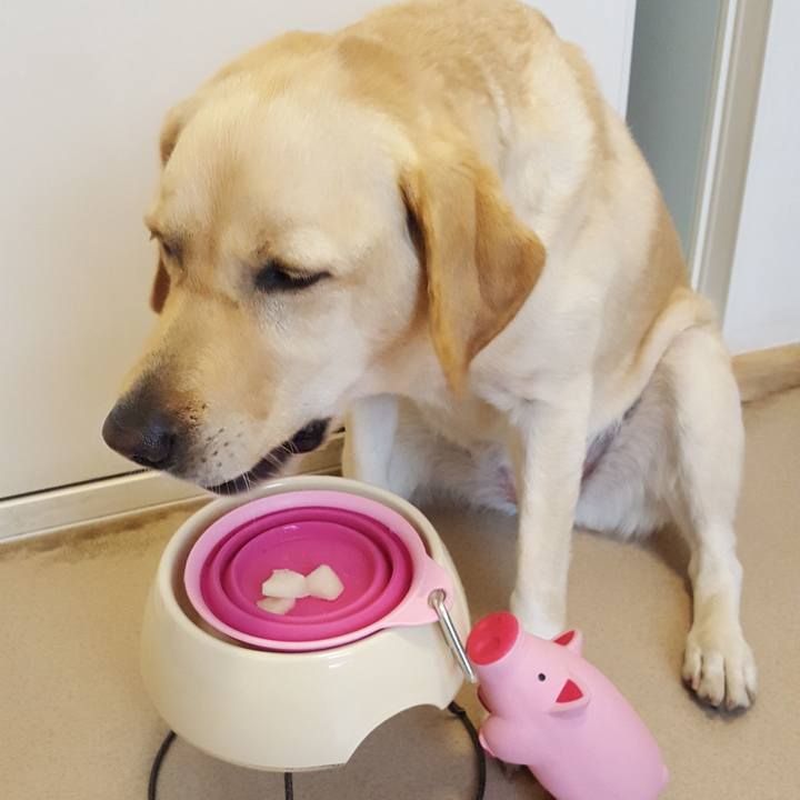 F1a5204f 45e5 41d4 915e cdcd1595301c