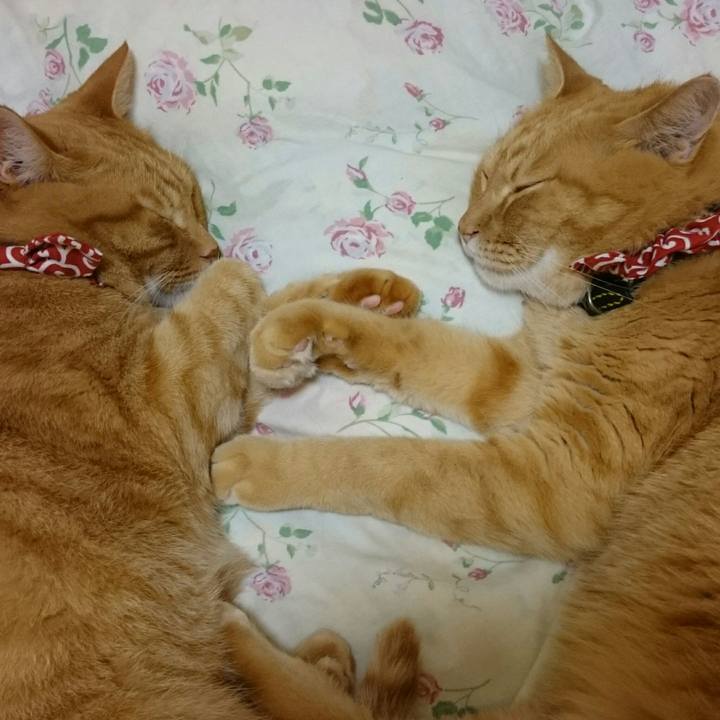 F1a597db 6182 4e7a 9c45 88960f99352a