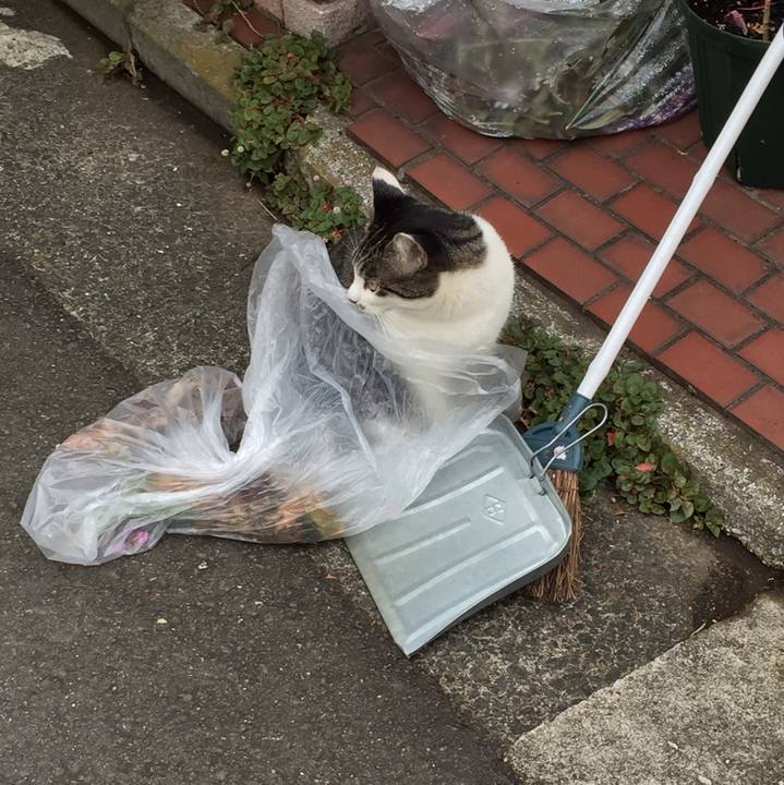 F1a5a622 ee39 4179 9487 67b43bcd2b1e