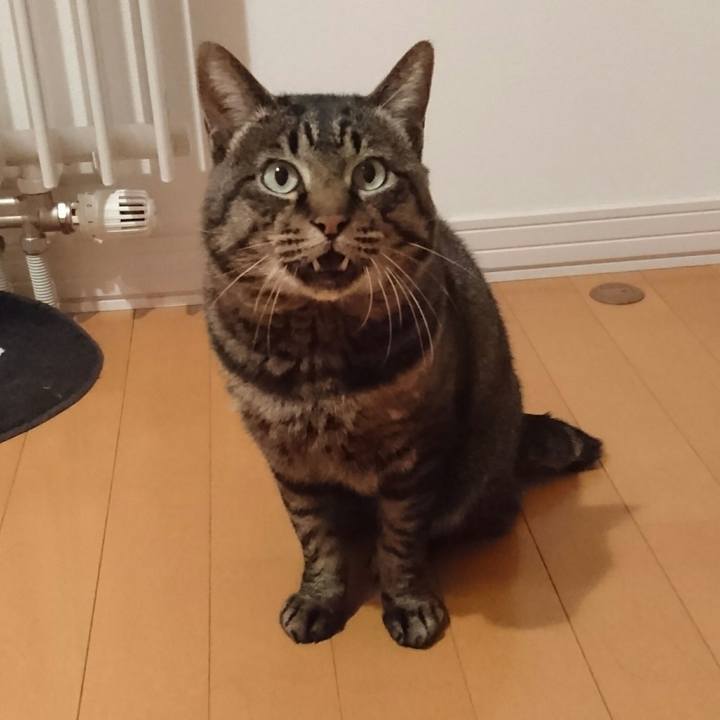 F1a5c15b 8b15 4fe4 b5d0 3c7256f6a5cb