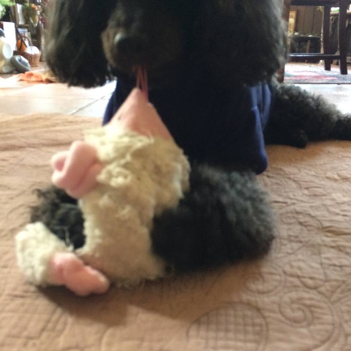 F1a5f838 2e68 4ec2 854d 3b9b00285364