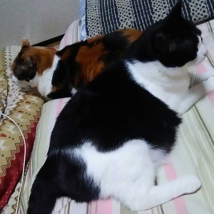 F1a5fa77 b53f 4821 982b a6491e9815bf