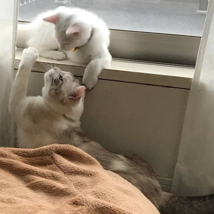 F1a67f43 7ec5 450c a305 ba7900125b6a