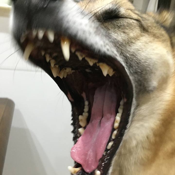 F1a696c5 d4b5 42fe 9669 2dd0fb65c307