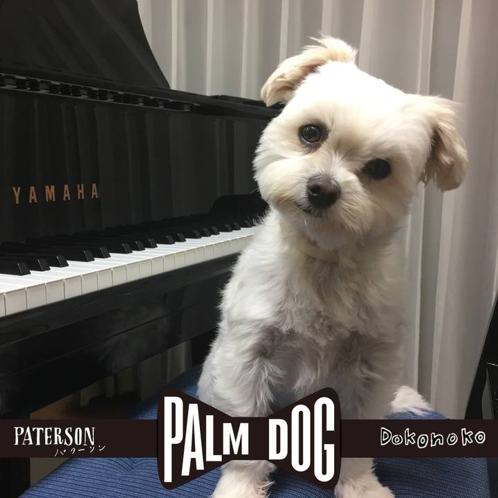 F1a6f832 6687 4dcb b342 a0c2773521c9