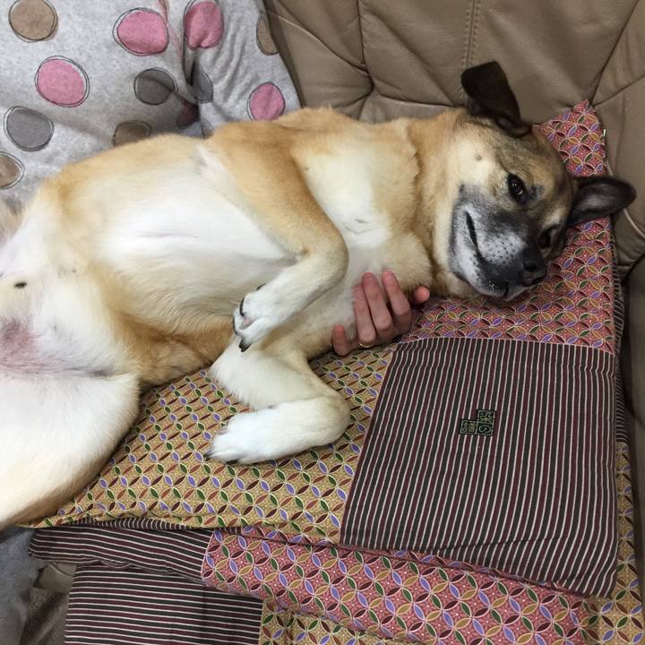 F1a71295 40ce 4022 83b2 de2be56203a9