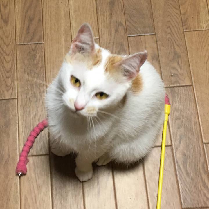 F1a7356c 0d70 46e6 aa06 384cb354842b