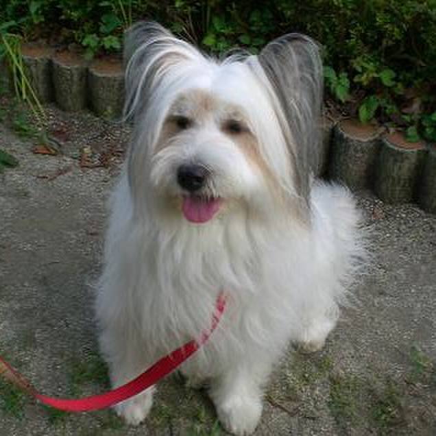 F1a7adb0 74a3 4049 9383 2e1c06962af0