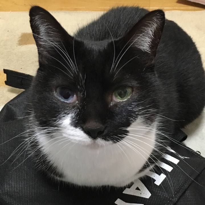 F1a7f21b af73 4cf5 9bd5 a2a287704865