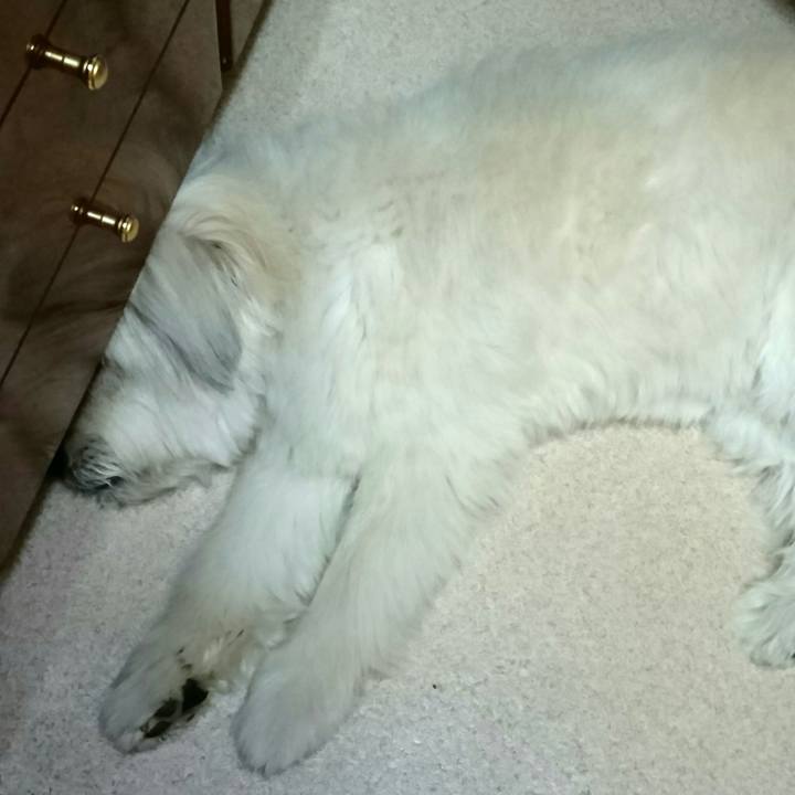 F1a870e8 c2a8 4edb 892b f4bdab949f2d